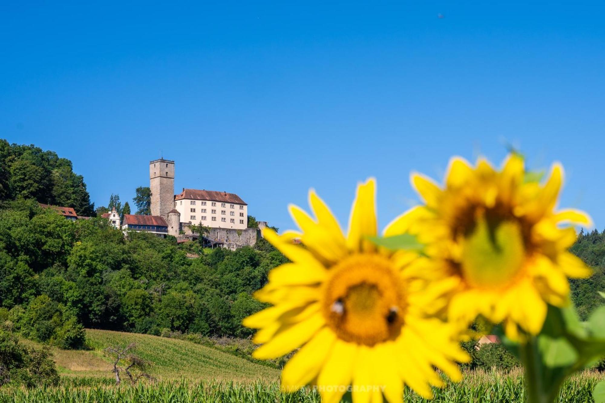 Wohnen Auf Der Ritterburg Villa Haßmersheim Eksteriør bilde